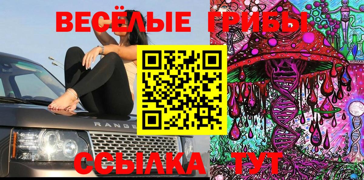 Псилоцибиновые грибы GOLDEN TEACHER Протвино
