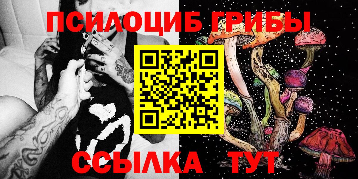 Галлюциногенные грибы Cubensis  Вход с VPN  продажа наркотиков  Протвино  Псилоцибиновые грибы GOLDEN TEACHER 